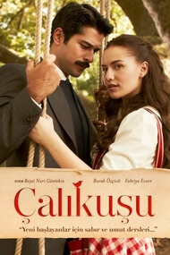 Calikusu – Capitulo 21